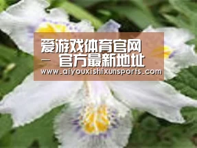 产品名称二