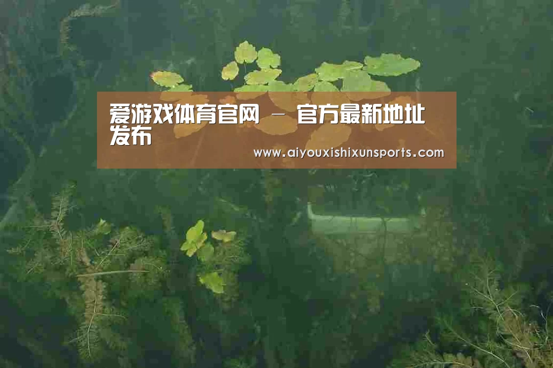 案例展示三