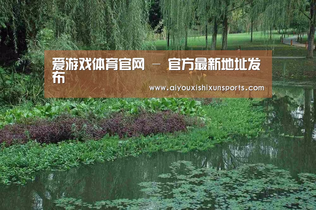 案例展示一