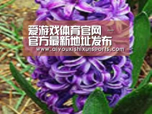 产品名称八