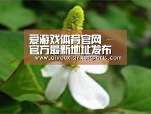 产品名称三