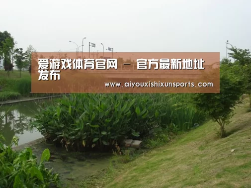 案例展示四