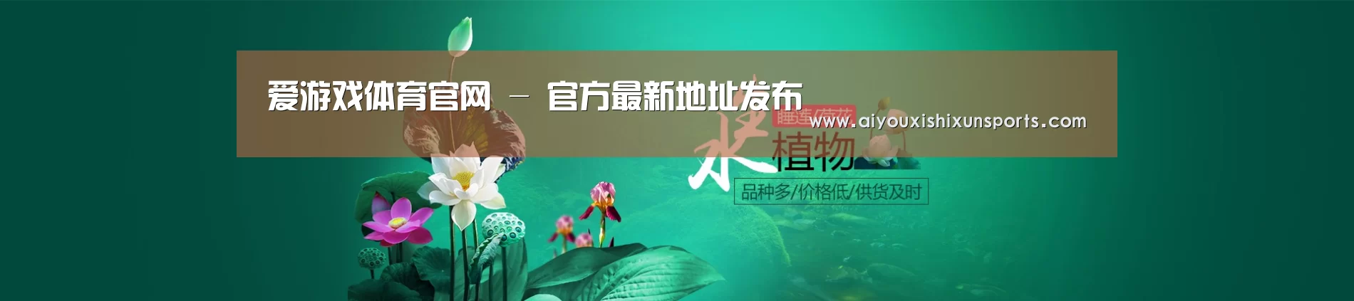 鲜花水草花卉网站模板