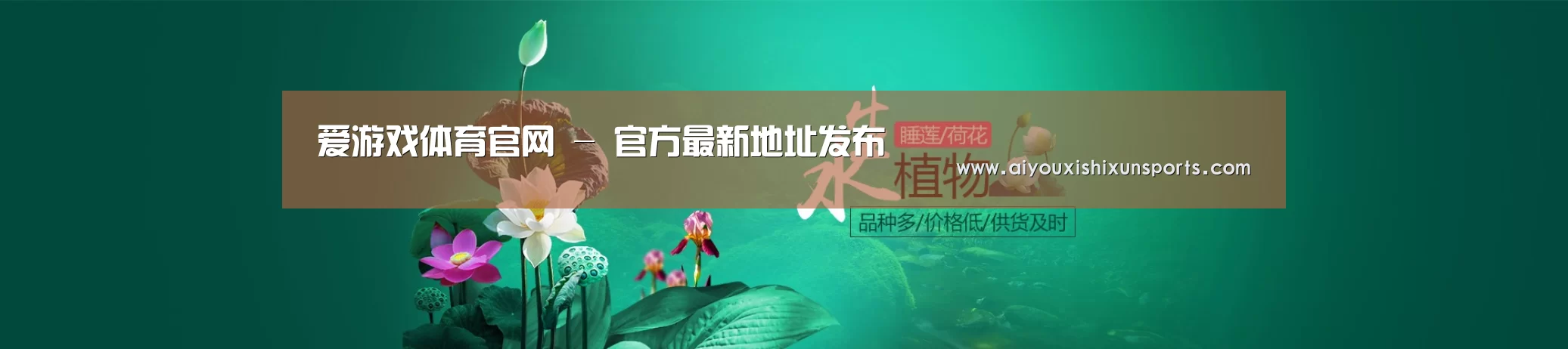 鲜花水草花卉网站模板